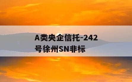 A类央企信托-242号徐州SN非标