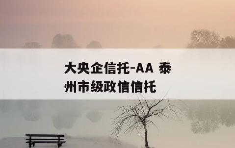 大央企信托-AA 泰州市级政信信托