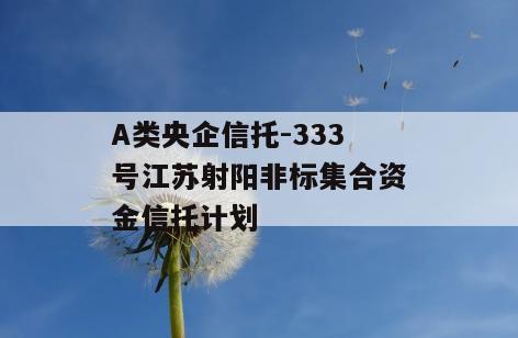 A类央企信托-333号江苏射阳非标集合资金信托计划