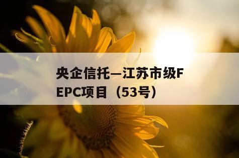 央企信托—江苏市级FEPC项目（53号）