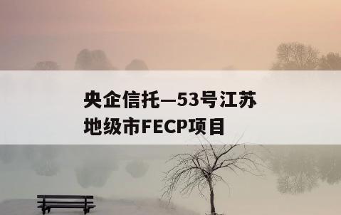 央企信托—53号江苏地级市FECP项目
