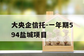 大央企信托-一年期594盐城项目