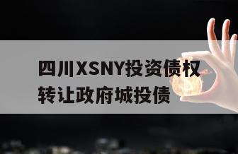 四川XSNY投资债权转让政府城投债