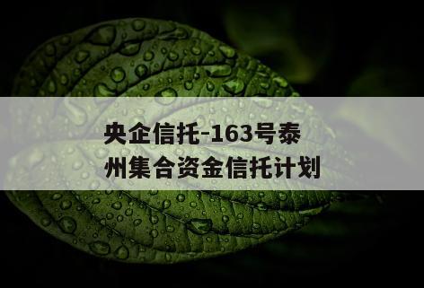 央企信托-163号泰州集合资金信托计划