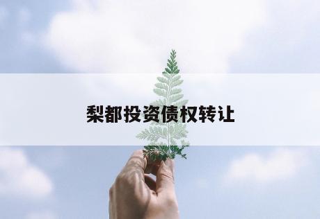 梨都投资债权转让