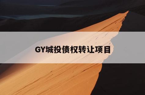 GY城投债权转让项目