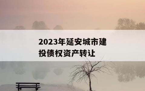 2023年延安城市建投债权资产转让