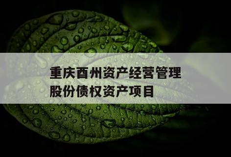 重庆酉州资产经营管理股份债权资产项目