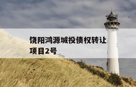 饶阳鸿源城投债权转让项目2号