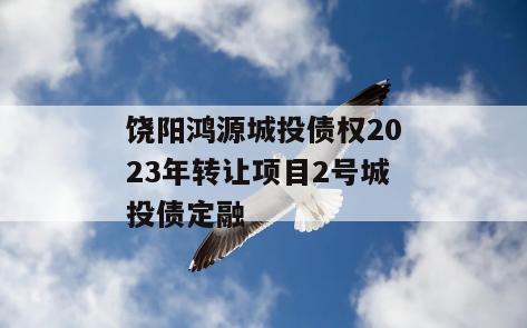 饶阳鸿源城投债权2023年转让项目2号城投债定融