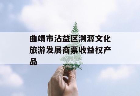 曲靖市沾益区溯源文化旅游发展商票收益权产品
