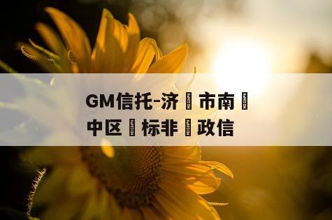 GM信托-济‮市南‬中区‮标非‬政信