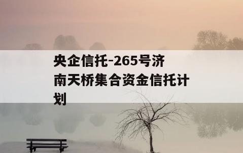 央企信托-265号济南天桥集合资金信托计划