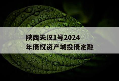 陕西天汉1号2024年债权资产城投债定融
