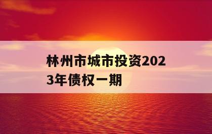 林州市城市投资2023年债权一期