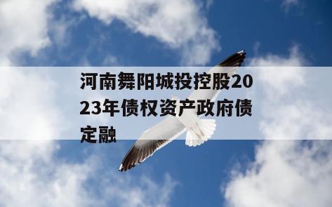 河南舞阳城投控股2023年债权资产政府债定融