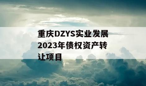 重庆DZYS实业发展2023年债权资产转让项目