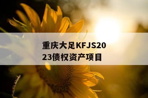 重庆大足KFJS2023债权资产项目