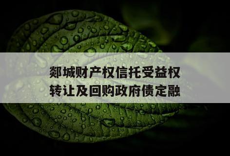 郯城财产权信托受益权转让及回购政府债定融