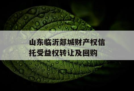 山东临沂郯城财产权信托受益权转让及回购