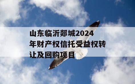 山东临沂郯城2024年财产权信托受益权转让及回购项目