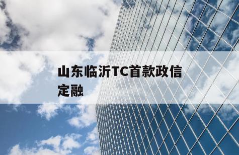 山东临沂TC首款政信定融