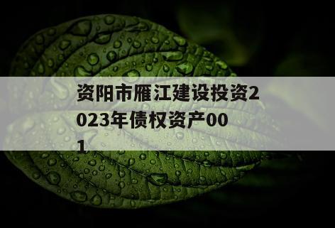 资阳市雁江建设投资2023年债权资产001