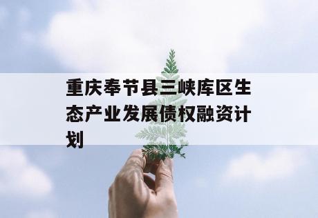 重庆奉节县三峡库区生态产业发展债权融资计划
