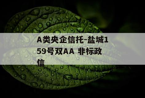 A类央企信托-盐城159号双AA 非标政信