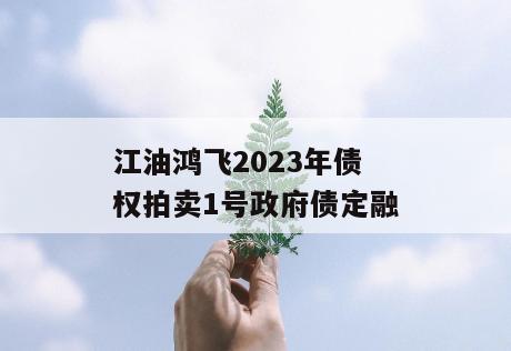 江油鸿飞2023年债权拍卖1号政府债定融