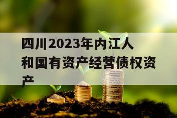 四川2023年内江人和国有资产经营债权资产