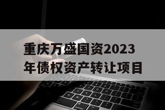 重庆万盛国资2023年债权资产转让项目