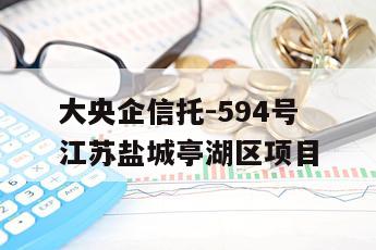 大央企信托-594号江苏盐城亭湖区项目