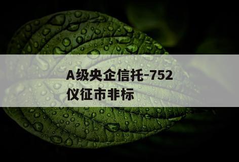 A级央企信托-752仪征市非标