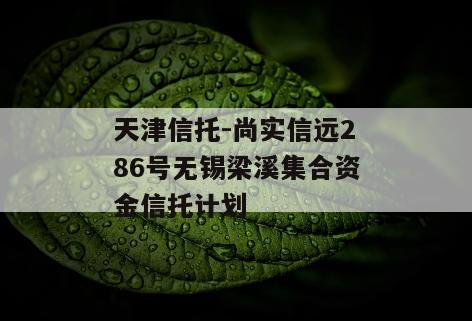 天津信托-尚实信远286号无锡梁溪集合资金信托计划