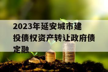 2023年延安城市建投债权资产转让政府债定融
