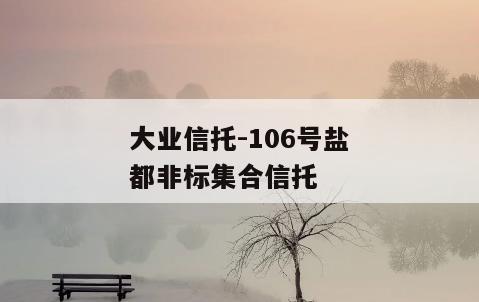 大业信托-106号盐都非标集合信托
