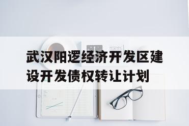 武汉阳逻经济开发区建设开发债权转让计划