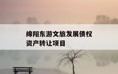 绵阳东游文旅发展债权资产转让项目