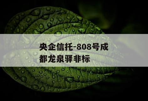央企信托-808号成都龙泉驿非标