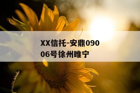 XX信托-安鼎09006号徐州睢宁