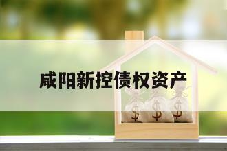 咸阳新控债权资产