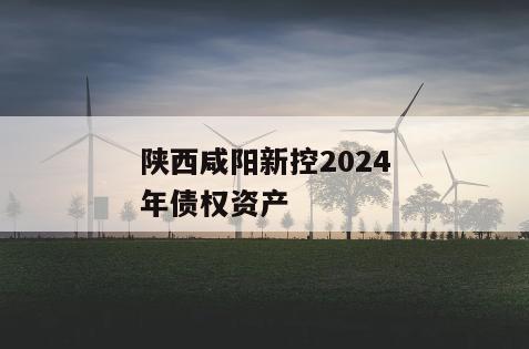 陕西咸阳新控2024年债权资产