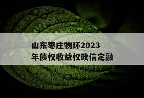 山东枣庄物环2023年债权收益权政信定融