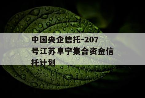 中国央企信托-207号江苏阜宁集合资金信托计划