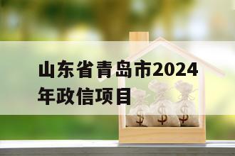 山东省青岛市2024年政信项目