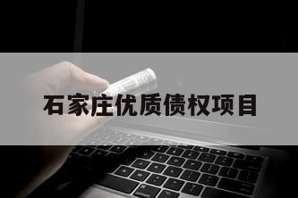 石家庄优质债权项目
