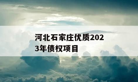河北石家庄优质2023年债权项目