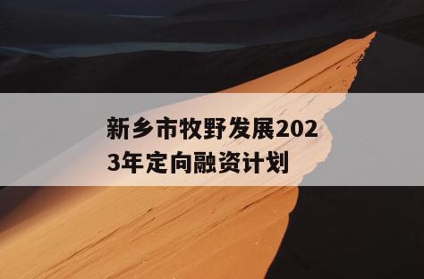 新乡市牧野发展2023年定向融资计划