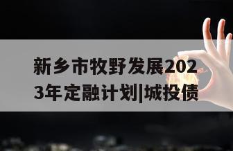 新乡市牧野发展2023年定融计划|城投债